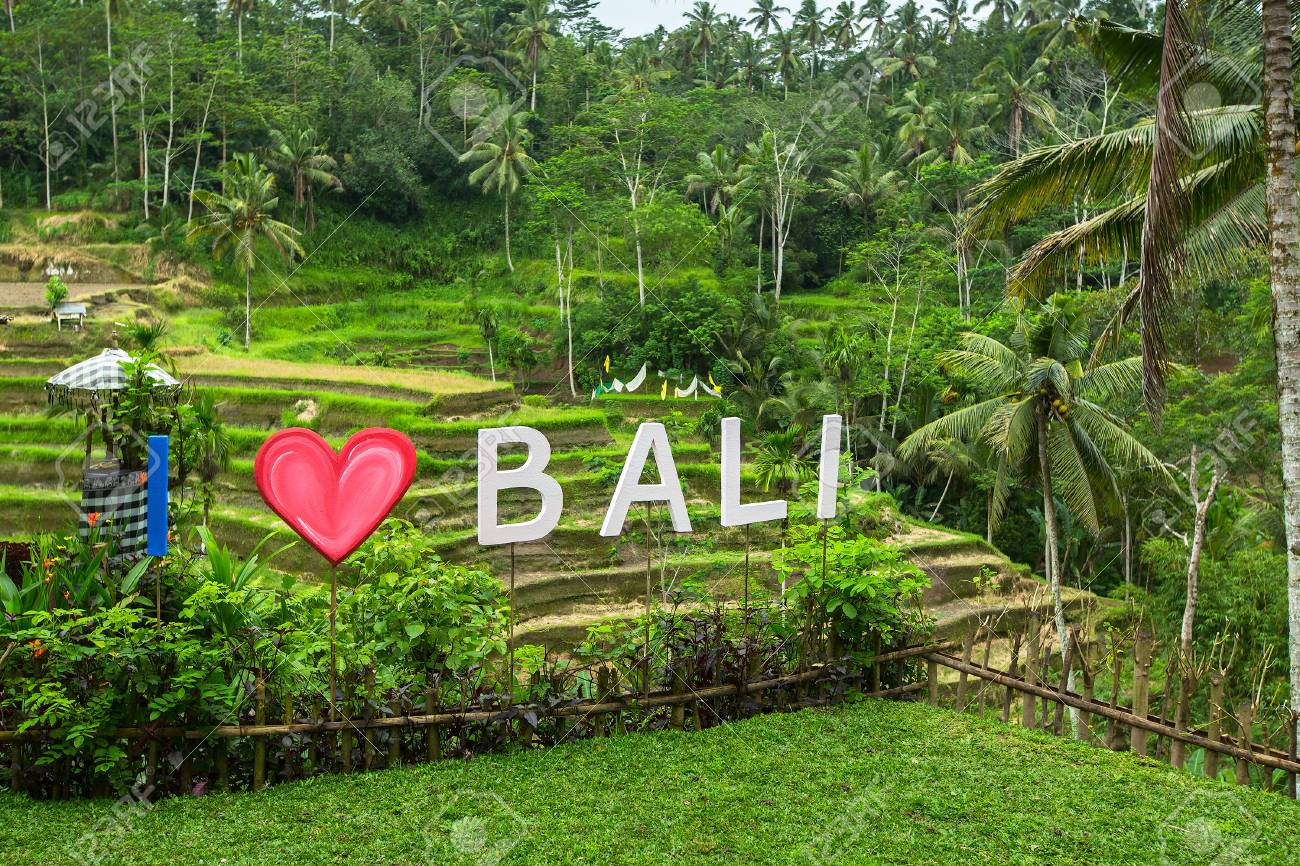 I Love Bali text written on the green rice terraces.